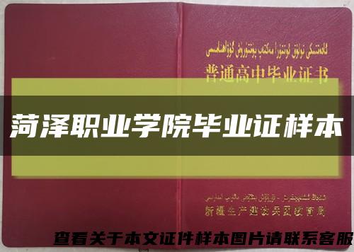 菏泽职业学院毕业证样本缩略图