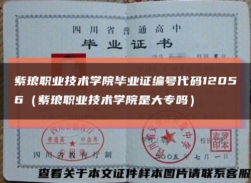 紫琅职业技术学院毕业证编号代码12056（紫琅职业技术学院是大专吗）缩略图