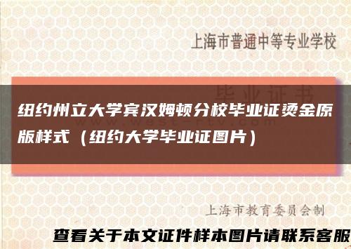 纽约州立大学宾汉姆顿分校毕业证烫金原版样式（纽约大学毕业证图片）缩略图