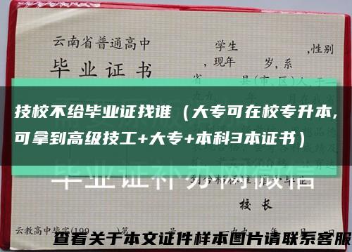 技校不给毕业证找谁（大专可在校专升本,可拿到高级技工+大专+本科3本证书）缩略图