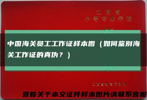 中国海关员工工作证样本图（如何鉴别海关工作证的真伪？）缩略图