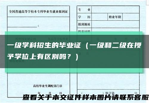 一级学科招生的毕业证（一级和二级在授予学位上有区别吗？）缩略图