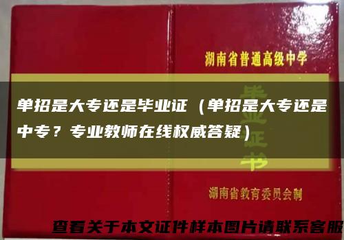 单招是大专还是毕业证（单招是大专还是中专？专业教师在线权威答疑）缩略图