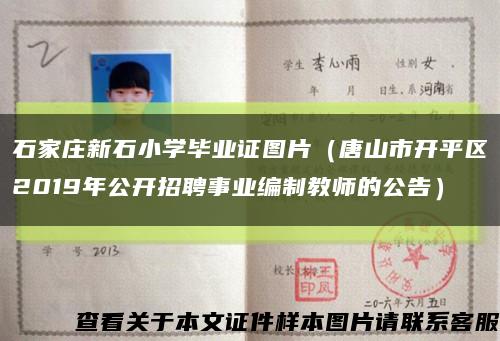 石家庄新石小学毕业证图片（唐山市开平区2019年公开招聘事业编制教师的公告）缩略图