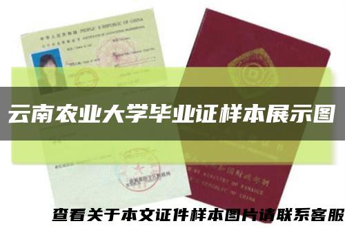 云南农业大学毕业证样本展示图缩略图