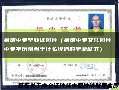 金融中专毕业证图片（金融中专文凭图片 中专学历相当于什么级别的毕业证书）缩略图
