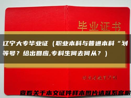 辽宁大专毕业证（职业本科与普通本科“划等号？给出回应,专科生何去何从？）缩略图