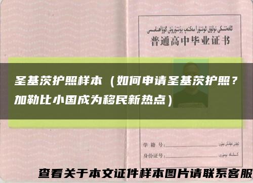 圣基茨护照样本（如何申请圣基茨护照？加勒比小国成为移民新热点）缩略图