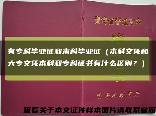 有专科毕业证和本科毕业证（本科文凭和大专文凭本科和专科证书有什么区别？）缩略图