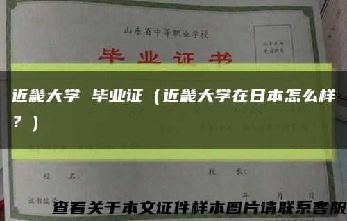 近畿大学 毕业证（近畿大学在日本怎么样？）缩略图