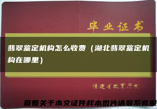 翡翠鉴定机构怎么收费（湖北翡翠鉴定机构在哪里）缩略图