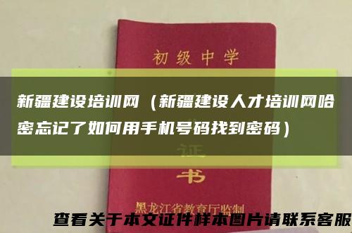 新疆建设培训网（新疆建设人才培训网哈密忘记了如何用手机号码找到密码）缩略图