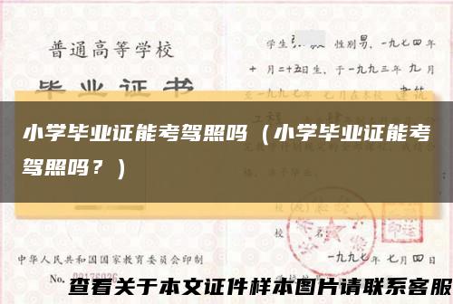 小学毕业证能考驾照吗（小学毕业证能考驾照吗？）缩略图