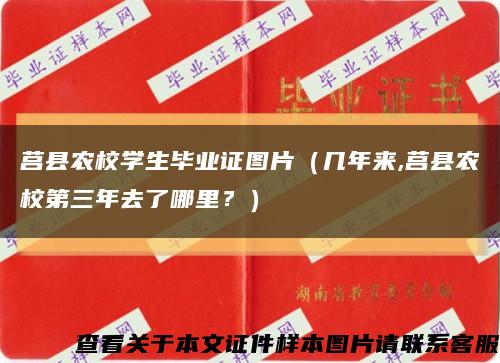 莒县农校学生毕业证图片（几年来,莒县农校第三年去了哪里？）缩略图