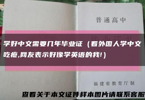 学好中文需要几年毕业证（看外国人学中文吃瘪,网友表示好像学英语的我!）缩略图