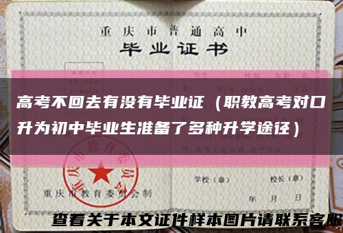 高考不回去有没有毕业证（职教高考对口升为初中毕业生准备了多种升学途径）缩略图