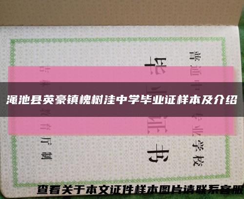渑池县英豪镇槐树洼中学毕业证样本及介绍缩略图
