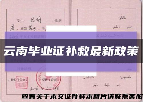 云南毕业证补救最新政策缩略图