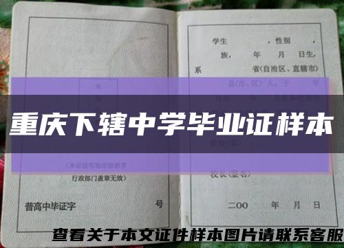 重庆下辖中学毕业证样本缩略图
