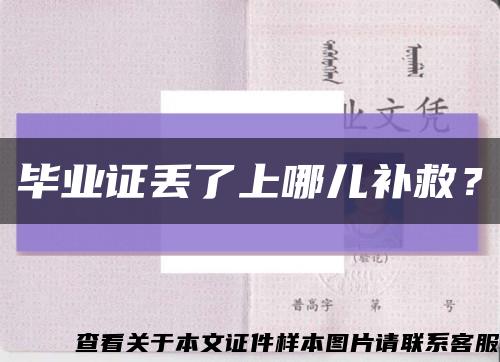 毕业证丢了上哪儿补救？缩略图
