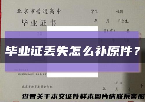 毕业证丢失怎么补原件？缩略图