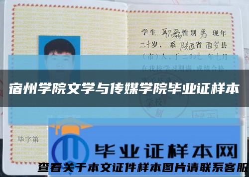 宿州学院文学与传媒学院毕业证样本缩略图