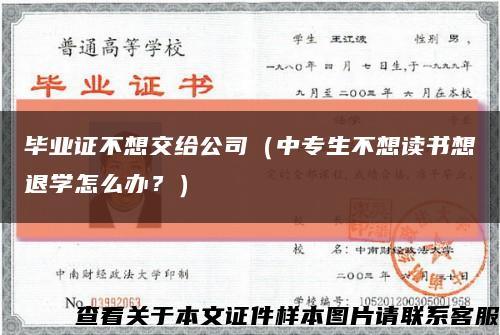 毕业证不想交给公司（中专生不想读书想退学怎么办？）缩略图