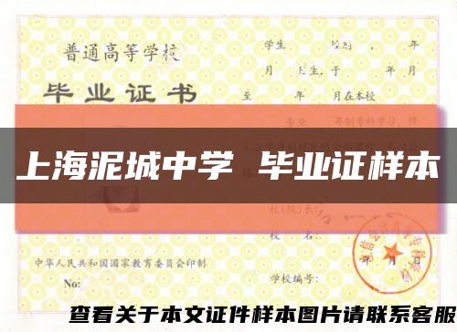 上海泥城中学 毕业证样本缩略图