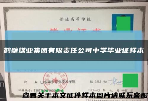 鹤壁煤业集团有限责任公司中学毕业证样本缩略图
