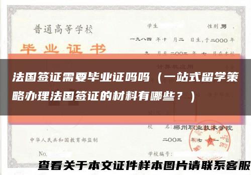 法国签证需要毕业证吗吗（一站式留学策略办理法国签证的材料有哪些？）缩略图