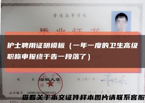 护士聘用证明模板（一年一度的卫生高级职称申报终于告一段落了）缩略图