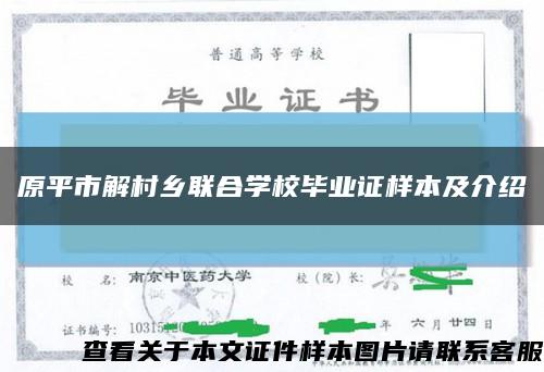 原平市解村乡联合学校毕业证样本及介绍缩略图