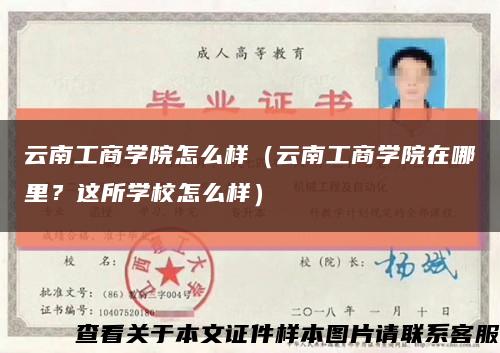 云南工商学院怎么样（云南工商学院在哪里？这所学校怎么样）缩略图