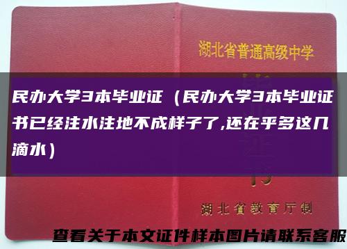 民办大学3本毕业证（民办大学3本毕业证书已经注水注地不成样子了,还在乎多这几滴水）缩略图