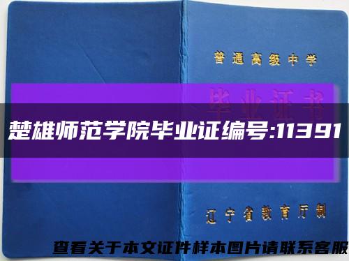 楚雄师范学院毕业证编号:11391缩略图
