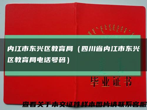 内江市东兴区教育局（四川省内江市东兴区教育局电话号码）缩略图