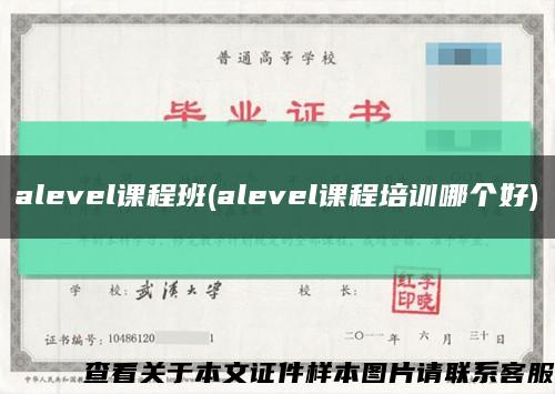alevel课程班(alevel课程培训哪个好)缩略图