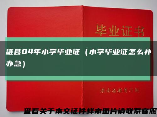 雄县04年小学毕业证（小学毕业证怎么补办急）缩略图
