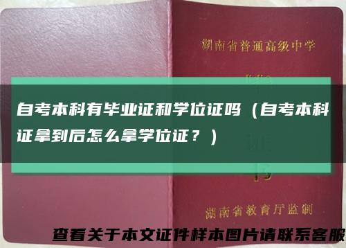 自考本科有毕业证和学位证吗（自考本科证拿到后怎么拿学位证？）缩略图