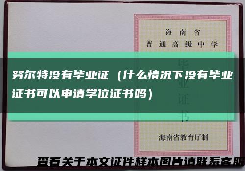 努尔特没有毕业证（什么情况下没有毕业证书可以申请学位证书吗）缩略图