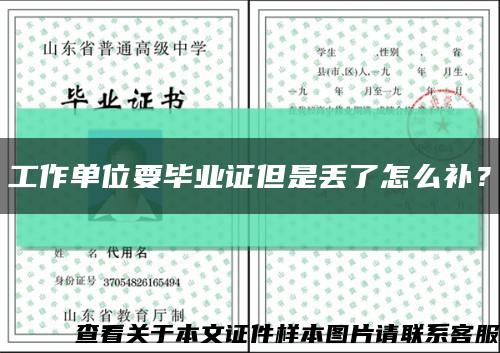 工作单位要毕业证但是丢了怎么补？缩略图