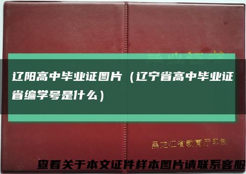 辽阳高中毕业证图片（辽宁省高中毕业证省编学号是什么）缩略图