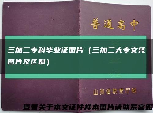 三加二专科毕业证图片（三加二大专文凭图片及区别）缩略图