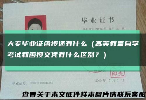 大专毕业证函授还有什么（高等教育自学考试和函授文凭有什么区别？）缩略图