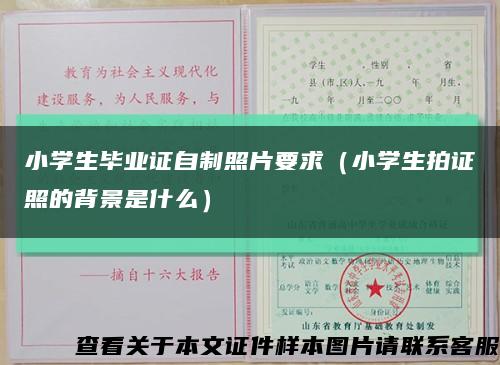 小学生毕业证自制照片要求（小学生拍证照的背景是什么）缩略图