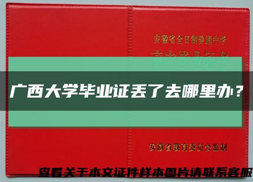 广西大学毕业证丢了去哪里办？缩略图