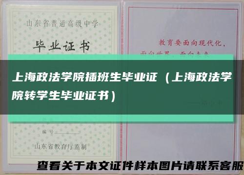 上海政法学院插班生毕业证（上海政法学院转学生毕业证书）缩略图