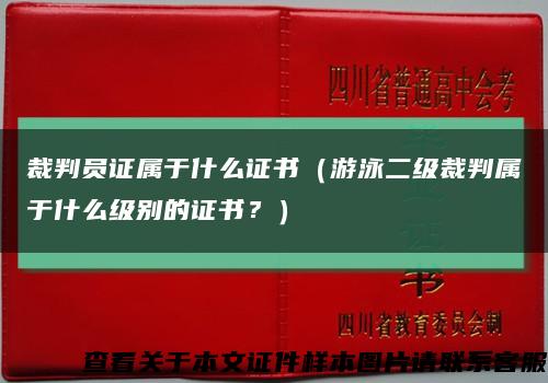 裁判员证属于什么证书（游泳二级裁判属于什么级别的证书？）缩略图