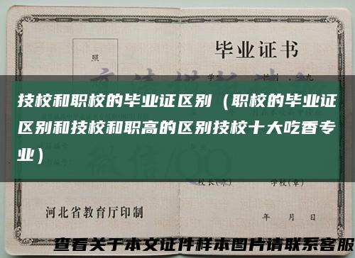 技校和职校的毕业证区别（职校的毕业证区别和技校和职高的区别技校十大吃香专业）缩略图