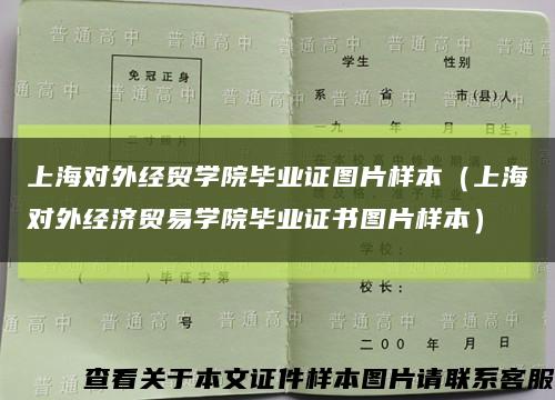 上海对外经贸学院毕业证图片样本（上海对外经济贸易学院毕业证书图片样本）缩略图